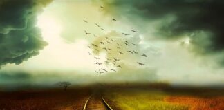 Ile kosztuje tytuł szlachecki? Ile kosztuje tytuł szlachecki?