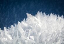 Czego nie można zamrażać? Czego nie można zamrażać?