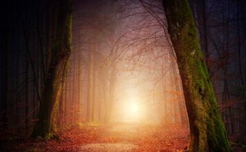 Czy oświetlenie terenu jest budowlą?