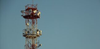 Ile to 10 g herbaty?