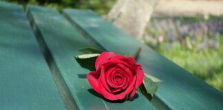 Co położyć na ławkę? Co położyć na ławkę?