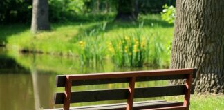 Ile kosztuje ławeczka ogrodowa?
