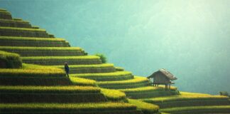 Jak zabezpieczyć taras przed słońcem? Jak zabezpieczyć taras przed słońcem?