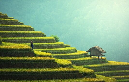 Jak osłonić taras przed deszczem?