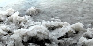 Ile kosztuje magnez nad morzem?