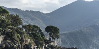 Ile kosztuje właź na strych?