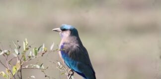 W czym są łożyska?