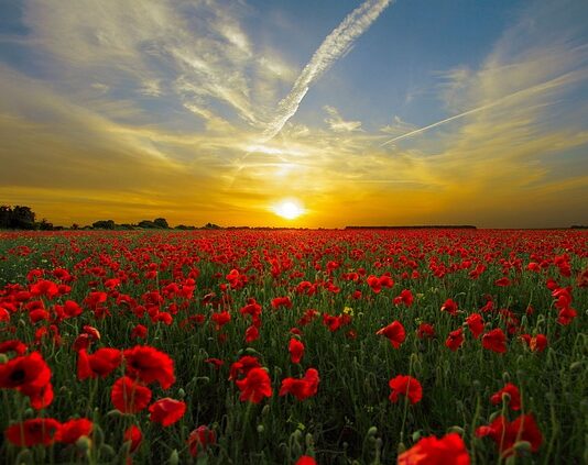 Ile to 5 gram mąki?