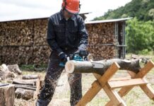 Jaka Pilarka Stihl do lasu? Jaka Pilarka Stihl do lasu?