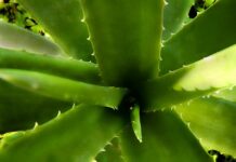 Kiedy najlepiej jechać nad morze po jod? Kiedy najlepiej jechać nad morze po jod?