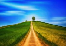 Jak nazywa się chodzenie po dachach?