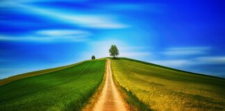 Jak nazywa się chodzenie po dachach? Jak nazywa się chodzenie po dachach?