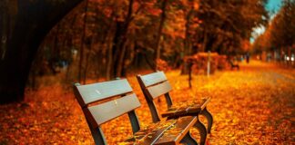 Jaką wysokość ławki ogrodowej? Jaką wysokość ławki ogrodowej?