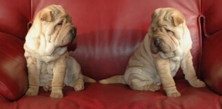 Ile kosztuje montaż markizy? Ile kosztuje montaż markizy?