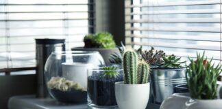 Które garnki lepsze Gerlach czy Ambition?