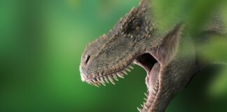 Co to jest KT wiatr? Co to jest KT wiatr?