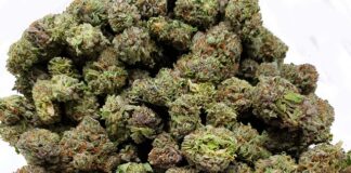 Gdzie można kupić łańcuch na szyję? Gdzie można kupić łańcuch na szyję?