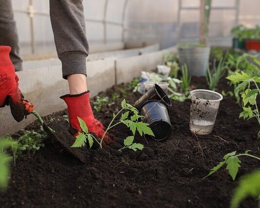Czy można spaść z łóżka piętrowego? Czy można spaść z łóżka piętrowego?