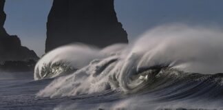 Co trzeba mieć na ciężkie czasy?