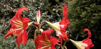 Dlaczego łożysko się obniża?