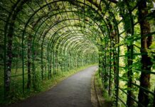 Jaką wysokość pergoli tarasowej? Jaką wysokość pergoli tarasowej?