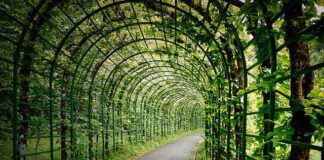 Jaką wysokość pergoli tarasowej?