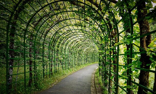 Jaką wysokość pergoli tarasowej?