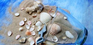 W którym tygodniu płód jest bezpieczny?