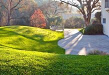 Czy na halę namiotowa potrzebne jest zezwolenie?