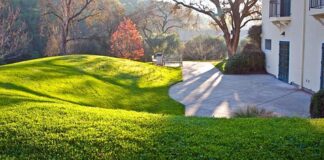 Czy na halę namiotowa potrzebne jest zezwolenie? Czy na halę namiotowa potrzebne jest zezwolenie?