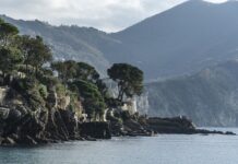 Ile kosztuje wymiana łańcucha w rowerze?