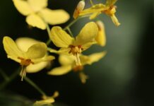 Czy zakładać dziecku skarpetki na noc?