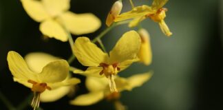 Czy zakładać dziecku skarpetki na noc?