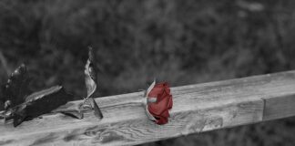 Jak zamontować balustradę na tarasie? Jak zamontować balustradę na tarasie?