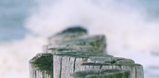 Jakie kołki do montażu markizy?