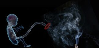 Kiedy płód łączy się z matką?