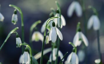 Dlaczego lut się nie trzyma?