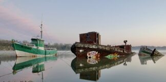 Jak pachnie zjełczały tłuszcz?