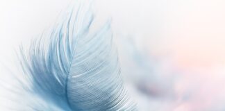 Jaki wiatr wytrzyma markiza?