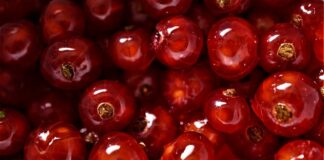 Jak smakuje łożysko?