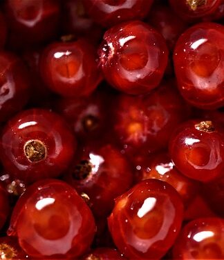 Jak smakuje łożysko?