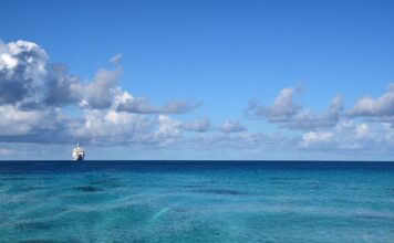 Czym zajmuje się markiza?