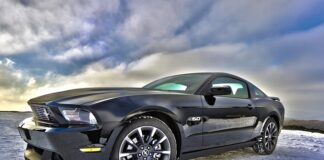 Co trzyma się w Cargo?