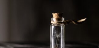 Co warto mieć w zapasach?