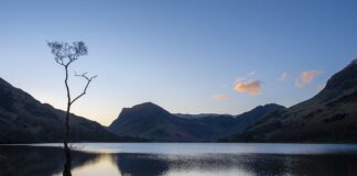 Jak się robi maślankę?