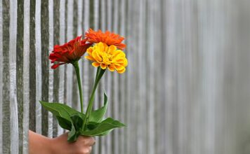 Czy ogrodzenie jest budowlą?