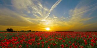 Ile waży 1 łyżka mąki?