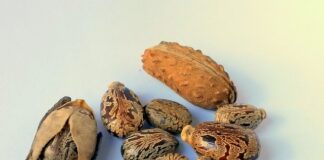 Ile gram ma łyżka oleju?