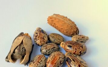 Ile gram ma łyżka oleju?