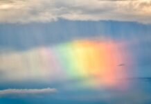 Który miesiąc ciąży jest najważniejszy? Który miesiąc ciąży jest najważniejszy?